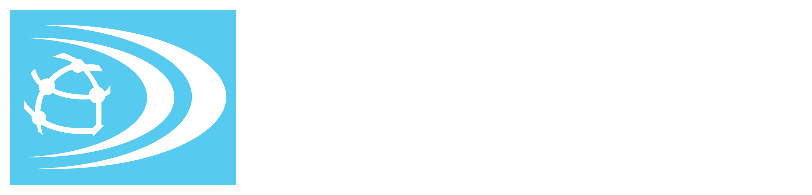 Defsan Medikal Logosu